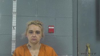 Hannah Nicole Farmer Mugshot