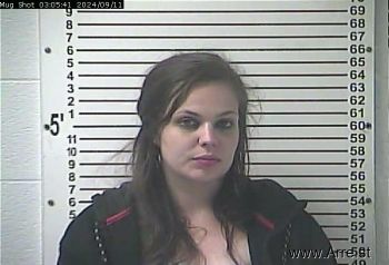 Hayli Ann Felthousen Mugshot