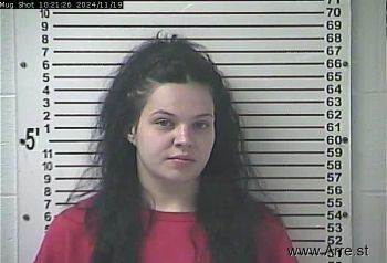 Hayli Ann Felthousen Mugshot