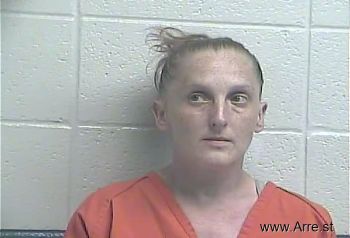 Heather Nicole Anderson Mugshot