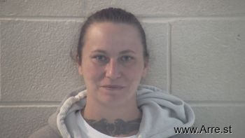 Heather Arlene Collins Mugshot