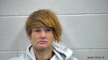 Heather Nicole Cook Mugshot