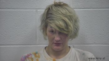 Heather Nicole Cook Mugshot