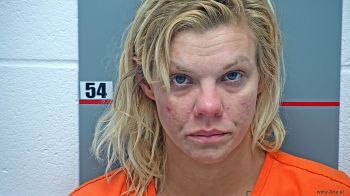 Heather  Cook Mugshot