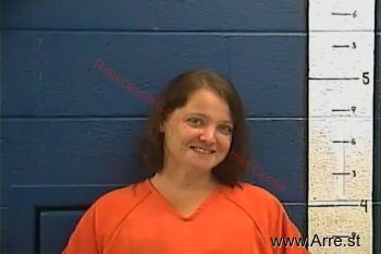 Heather Michelle Davis Mugshot