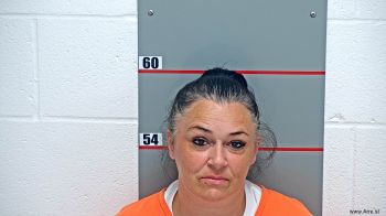 Heather Rene Drake Mugshot