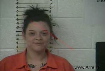 Heather Sue Elliott Mugshot