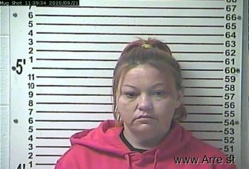 Heather Nicole Greenwell Mugshot