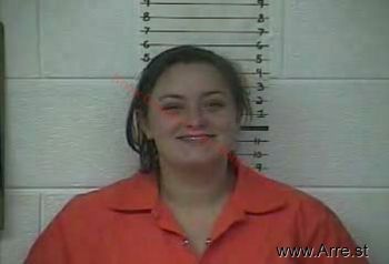 Heather Elise Hensley Mugshot