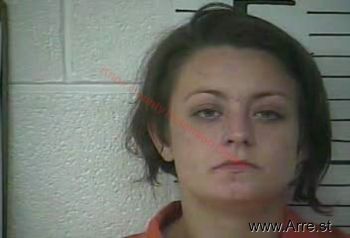 Heather Elise Hensley Mugshot