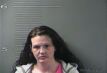 Heather N Mckinney Mugshot