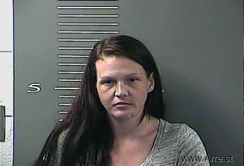 Heather N Mckinney Mugshot