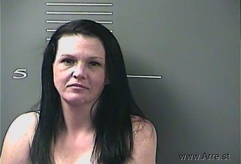 Heather N Mckinney Mugshot