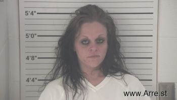 Heather Ann Neimeier Mugshot