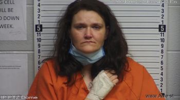 Heather  Nichols Mugshot