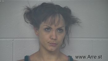 Heather  Wilson Mugshot