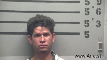 Hector Daniel Rivera-angulo Mugshot