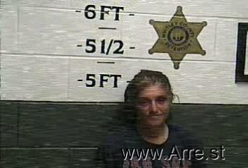 Heidi  Johnson Mugshot