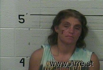 Heidi  Johnson Mugshot