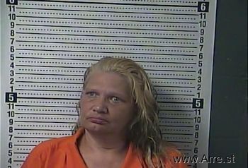 Heidi Suzanne Young Mugshot