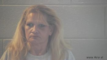 Heidi Susan Young Mugshot