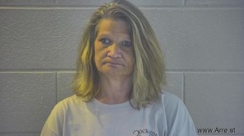 Heidi Susan Young Mugshot