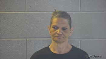 Heidi Susan Young Mugshot