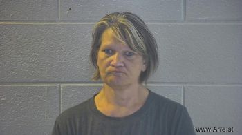 Heidi Susan Young Mugshot