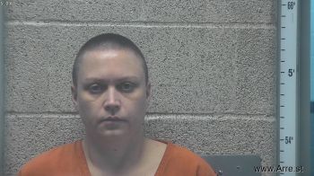 Holly Nichole Barnett Mugshot