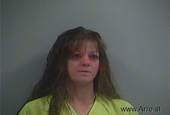 Holly  Mckinley Mugshot