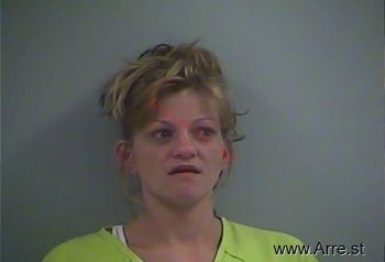 Holly  Mckinley Mugshot