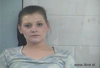 Holly K Skaggs Mugshot