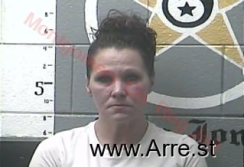 Heather Renee Anderson Mugshot