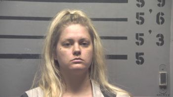 Heather  Williams Mugshot