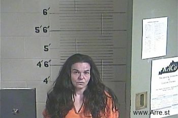 Ida  Brinegar Mugshot