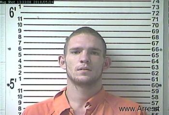 James Leslie Holman Iii Mugshot