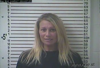 Jamie Danielle Albin Mugshot