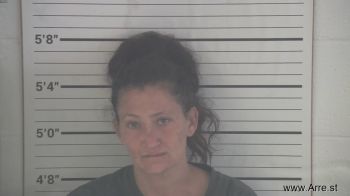 Jamie Nicole Anness Mugshot