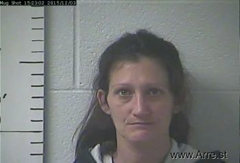 Jamie Nichole Anness Mugshot