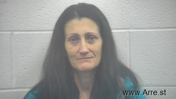 Jamie Nicole Anness Mugshot