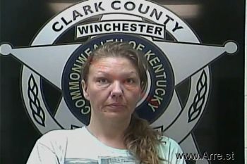 Jamie Nicole Chambers Mugshot