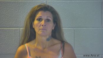 Jamie Ann Cook Mugshot