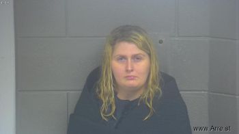 Jamie Ann Cook Mugshot