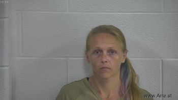 Jamie L Goodin Mugshot