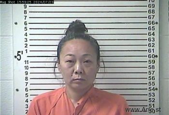 Jamie Fay Lee Mugshot