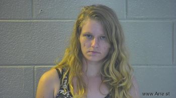 Jamie Leanne Owens Mugshot