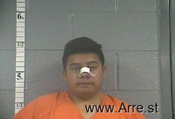 Javier  Herrera-delgado Mugshot