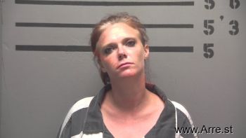 Jennifer Ann Adamson Mugshot