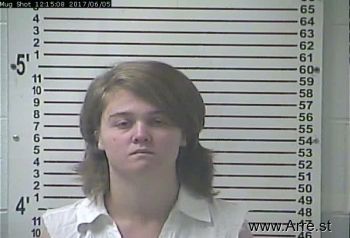 Jennifer Nicole Collins Mugshot