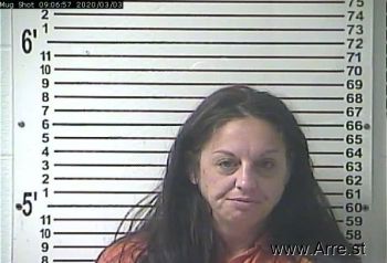 Jennifer Marie Johnston Mugshot